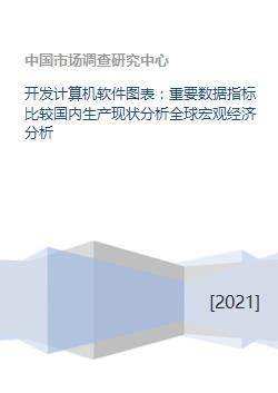 計算機軟件開發 重要數據指標比較與國內外生產現狀及全球宏觀經濟分析