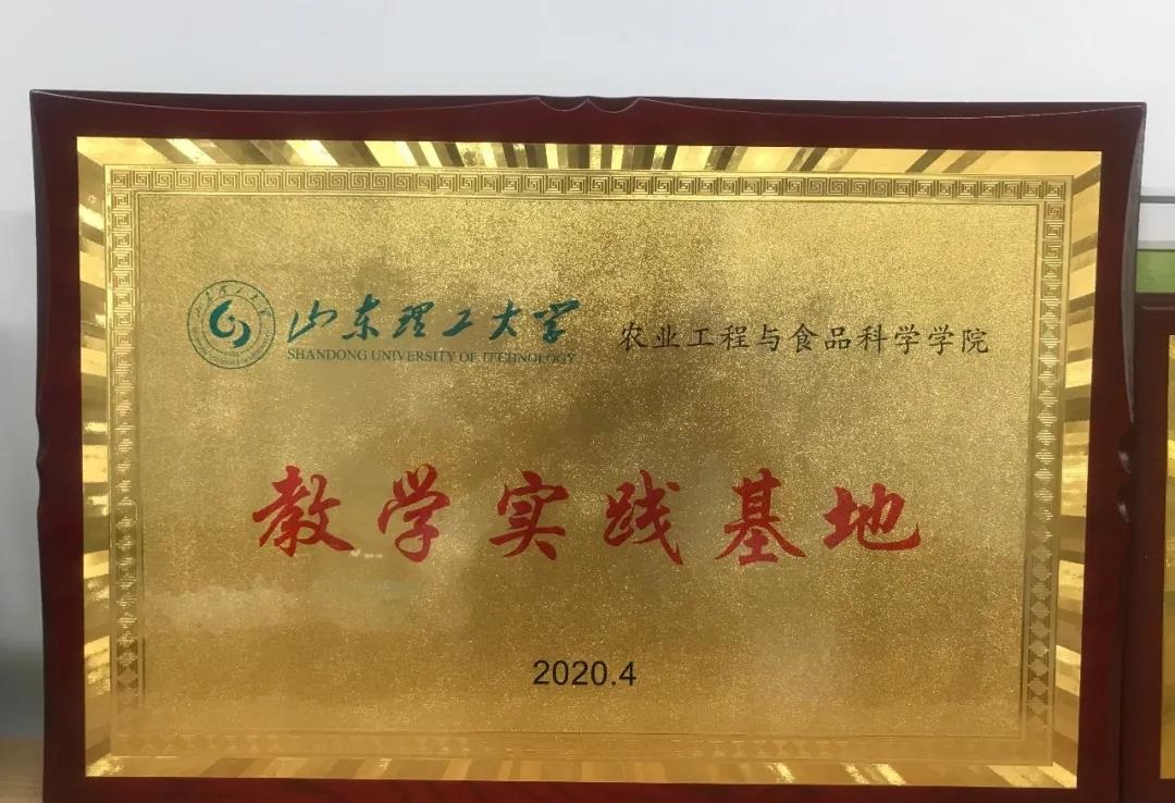 青島高新區(qū)企業(yè)與山東理工大學(xué)攜手共進(jìn)，共繪影視策劃新藍(lán)圖